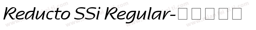 Reducto SSi Regular字体转换